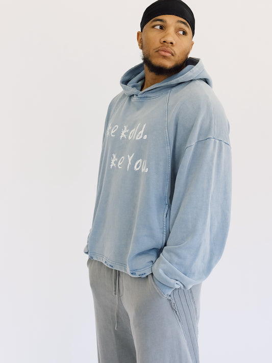 BBBY Vintage Washed Frayed-Hem Hoodie